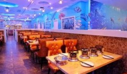 天津餐厅爆料事件视频大全,揭露食安疑云与行业乱象