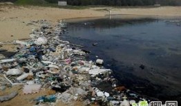 海南万宁爆料事件最新情况,最新进展揭示惊人内幕