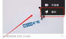 如何做视频爆料赚钱,轻松实现财富增长